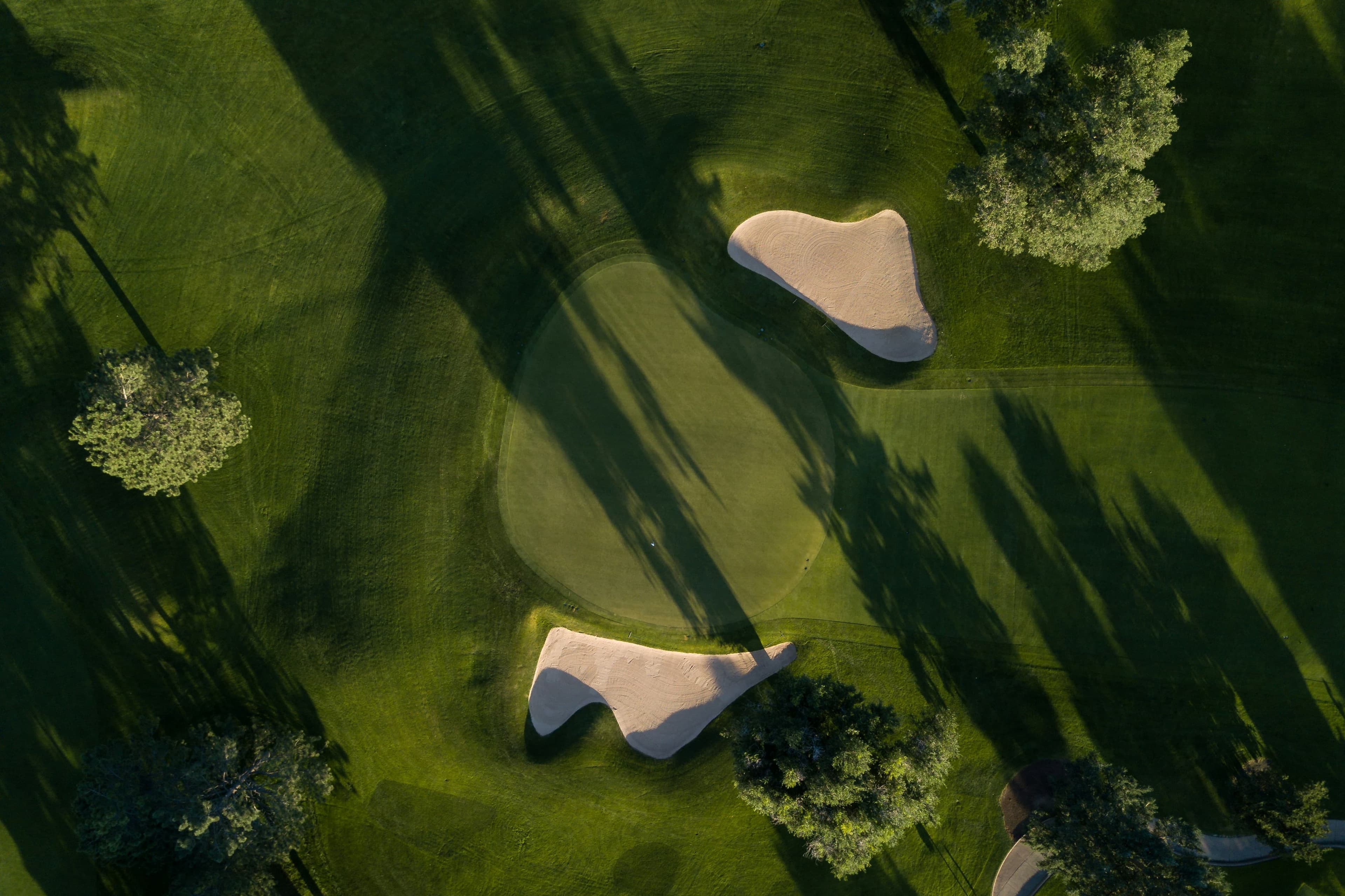 Golf Hero Image